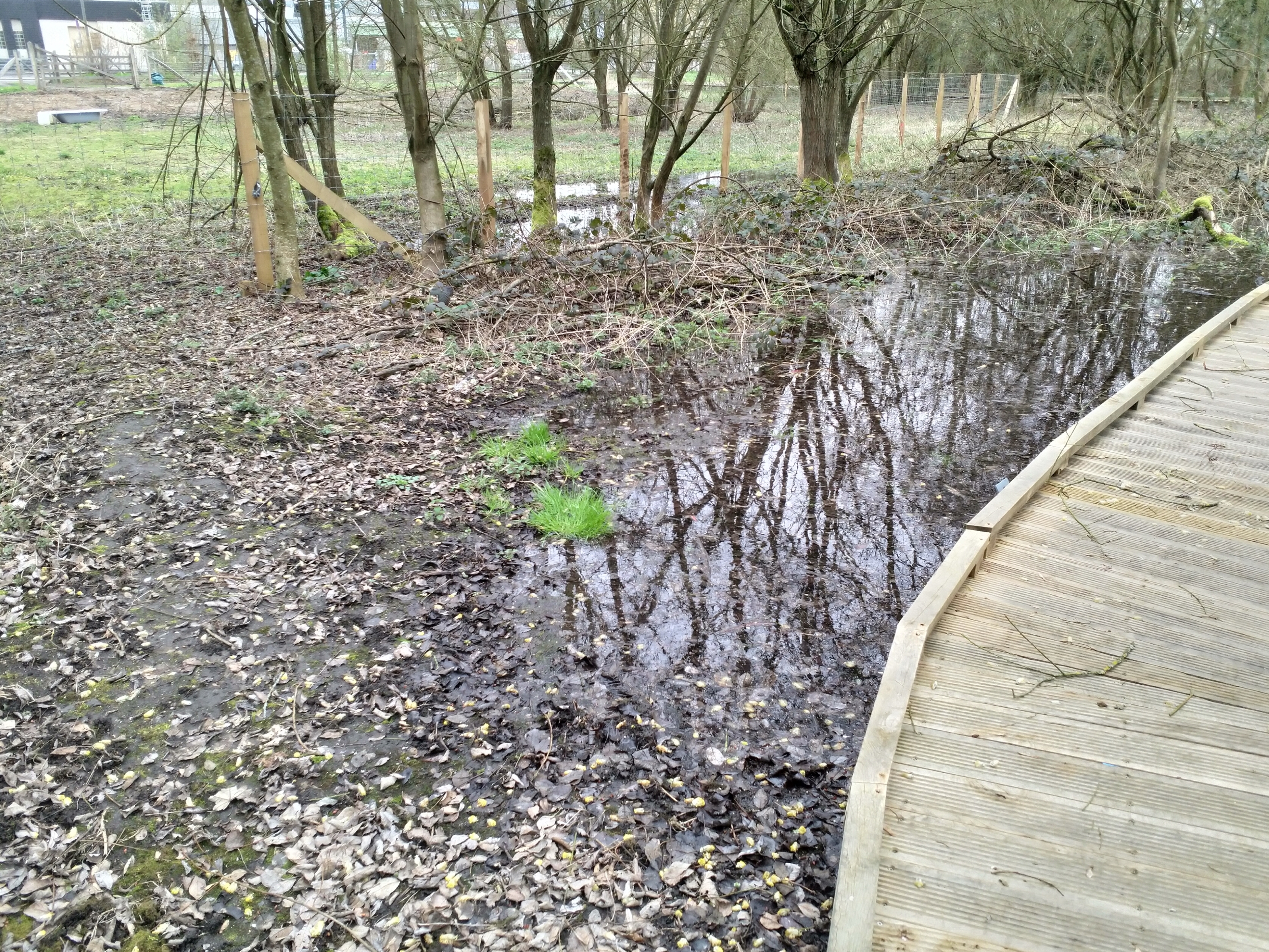 cours d'eau débordant sur la parcelle Deshayes