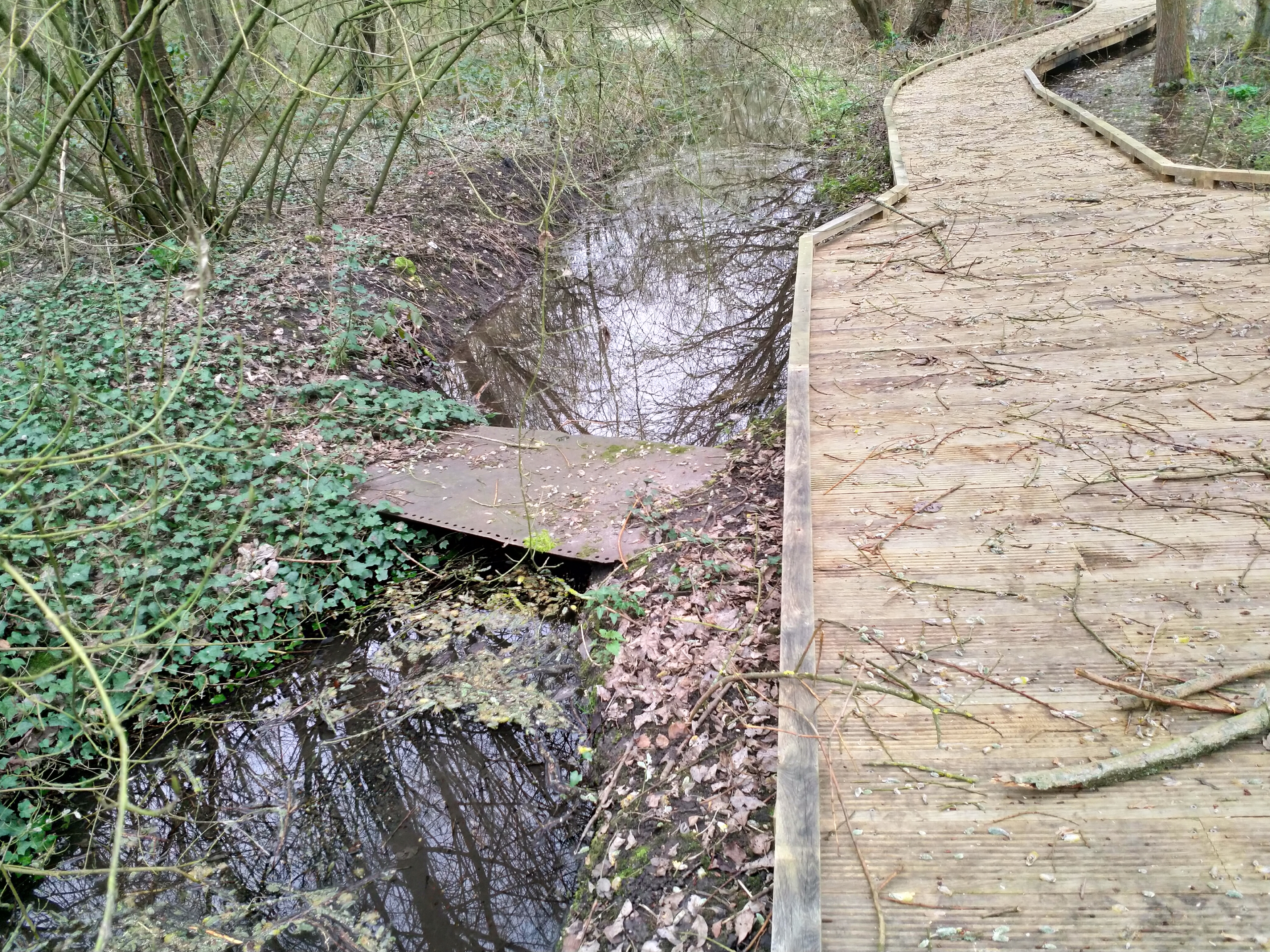 cours d'eau débordant sur la parcelle Deshayes